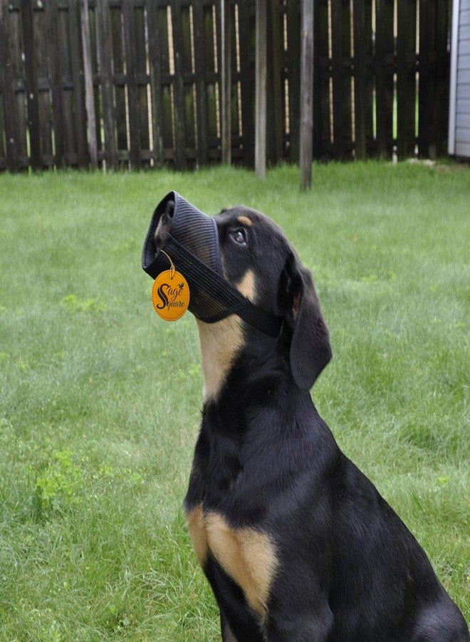 Sage Square Buckle Strap Strap Net Wire Muzzle Cum Mouth Cover Cum Basket Cage Cum Pet Safety Collar for Anti Biting Dog (Black) (Medium) - Image 4